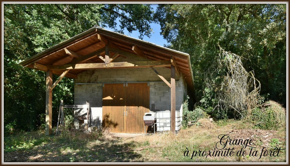 � vendre  Propri�t�/ch�teau Biard (86580)