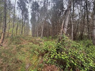  Terrain � vendre 48400 m�