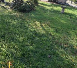  Terrain � vendre 587 m�