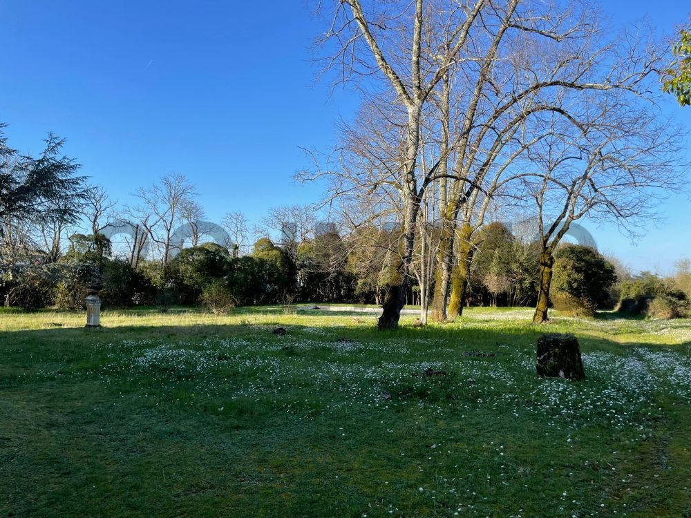 � vendre  Propri�t�/ch�teau Arveyres (33500)