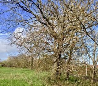  Terrain � vendre 1700 m�