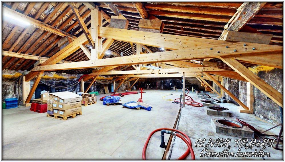 � vendre  Propri�t�/ch�teau Capendu (11700)