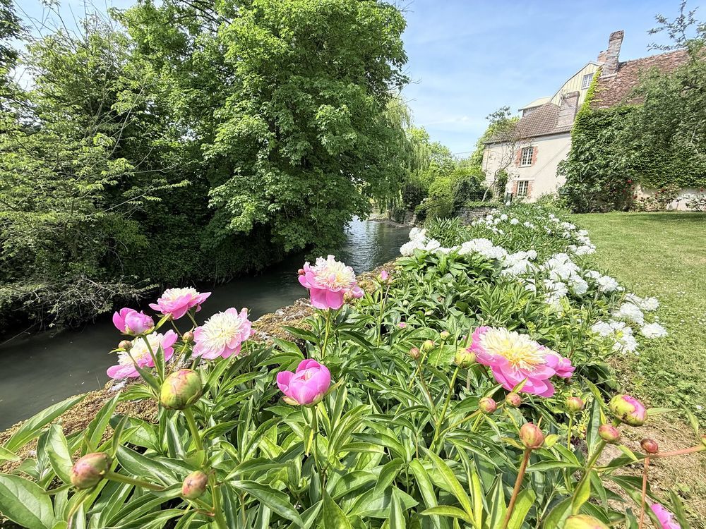 � vendre  Maison Jutigny (77650)