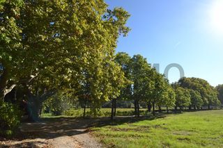  Propri�t�/ch�teau � vendre 15 + pi�ces 1200 m�