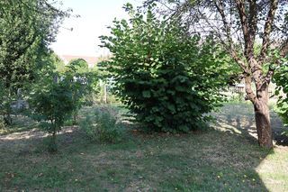  Maison � vendre 6 pi�ces 149 m�