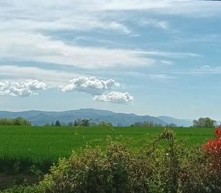  Terrain � vendre 328 m�