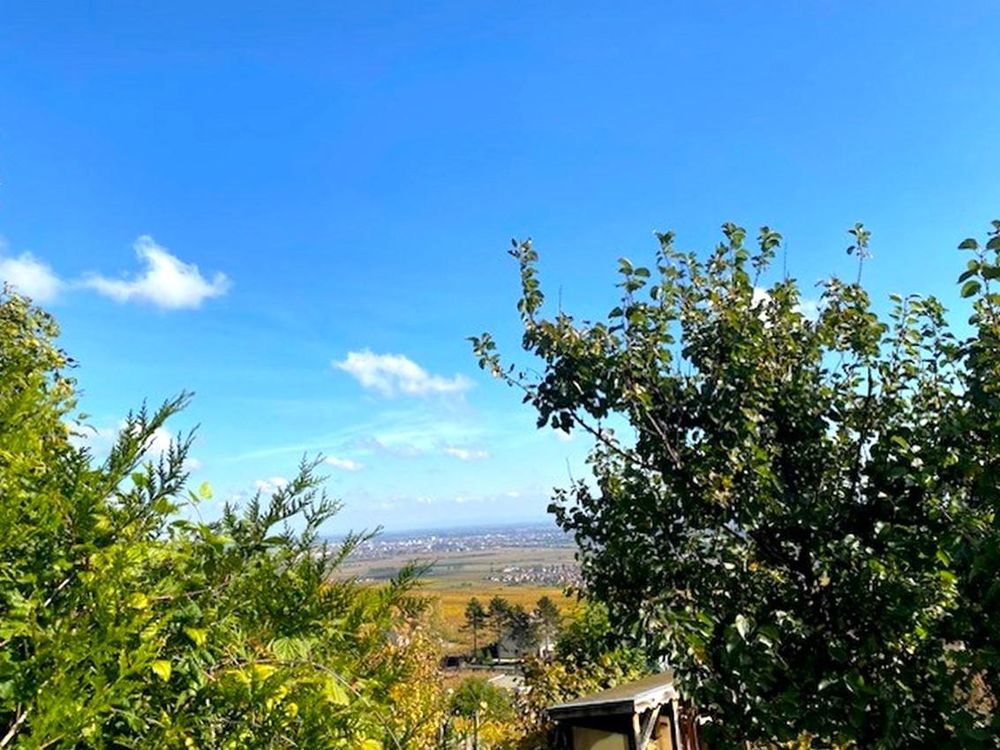 � vendre  Maison Husseren-les-Ch�teaux (68420)