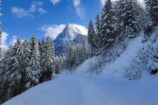  Appartement � vendre 1 pi�ce 17 m�