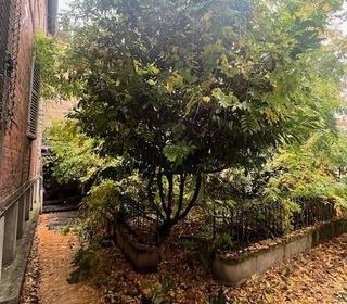  Immeuble � vendre 15 + pi�ces 350 m�