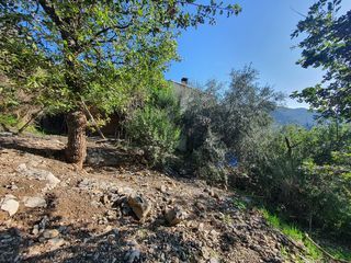  Terrain � vendre 6839 m�