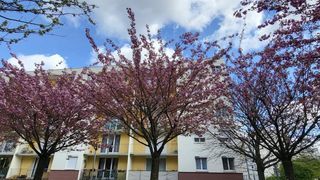  Appartement � vendre 5 pi�ces 87 m�