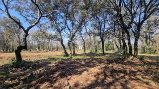  Terrain � vendre 940 m�