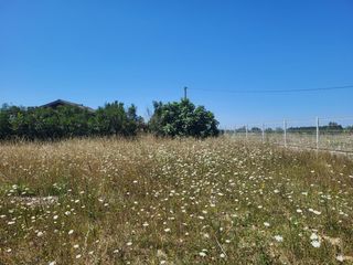  Terrain � vendre 649 m�