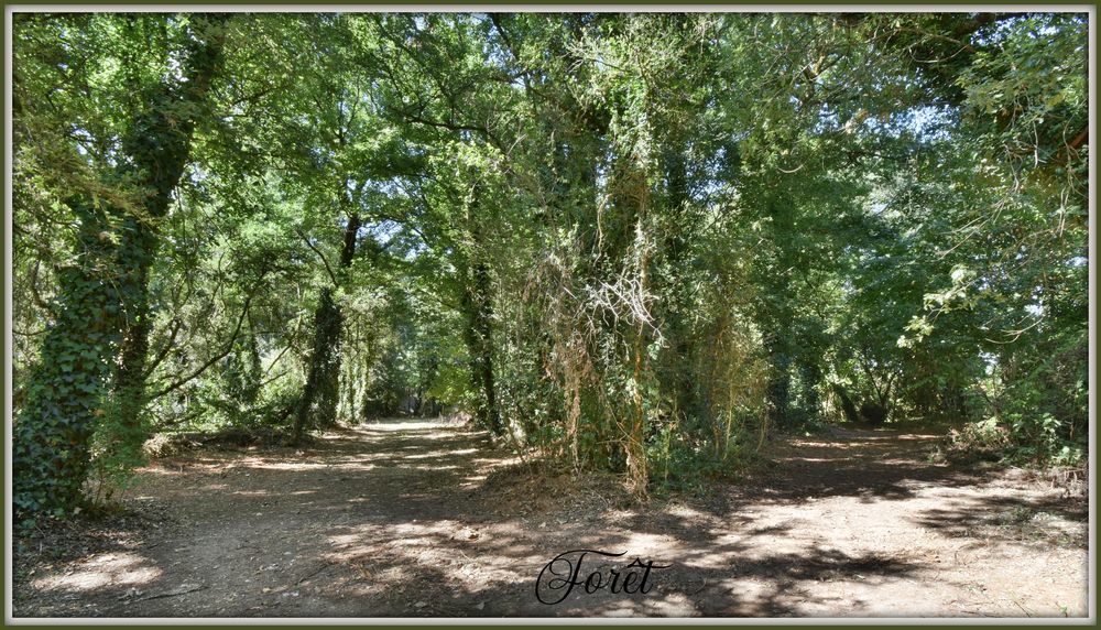 � vendre  Propri�t�/ch�teau Biard (86580)