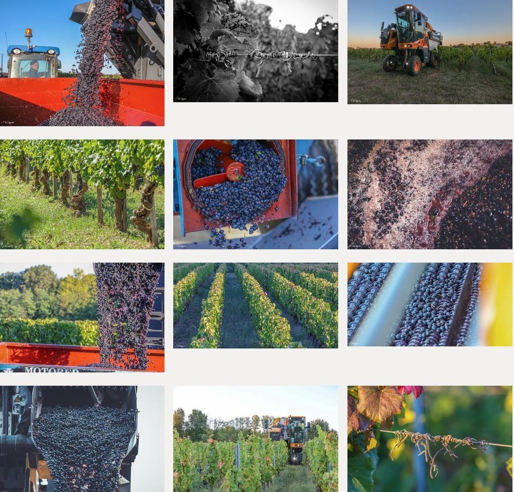 � vendre  Propri�t�/ch�teau Blaye (33390)