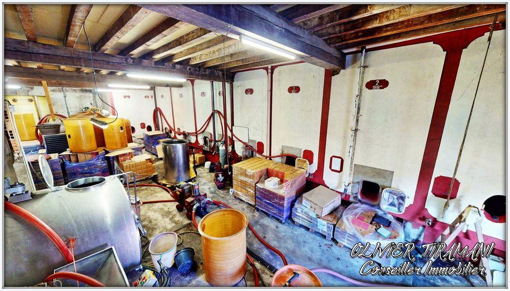 � vendre  Propri�t�/ch�teau Capendu (11700)