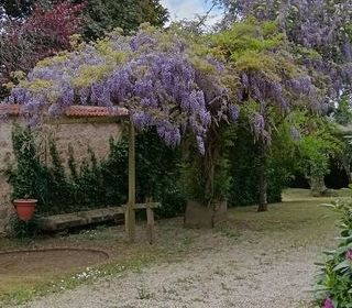  Maison � vendre 11 pi�ces 217 m�