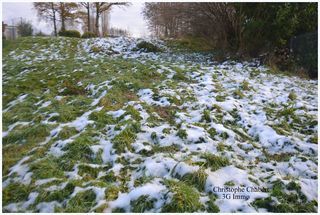  Terrain � vendre 725 m�