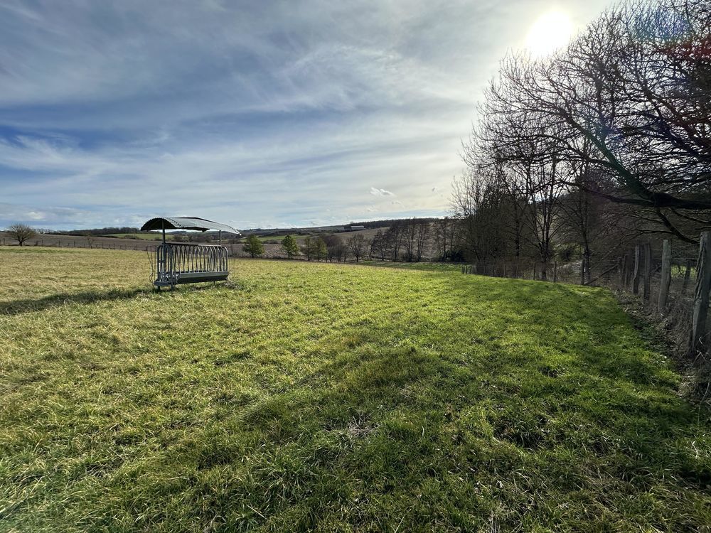 � vendre  Propri�t�/ch�teau Nevers (58000)