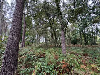  Terrain � vendre 51575 m�