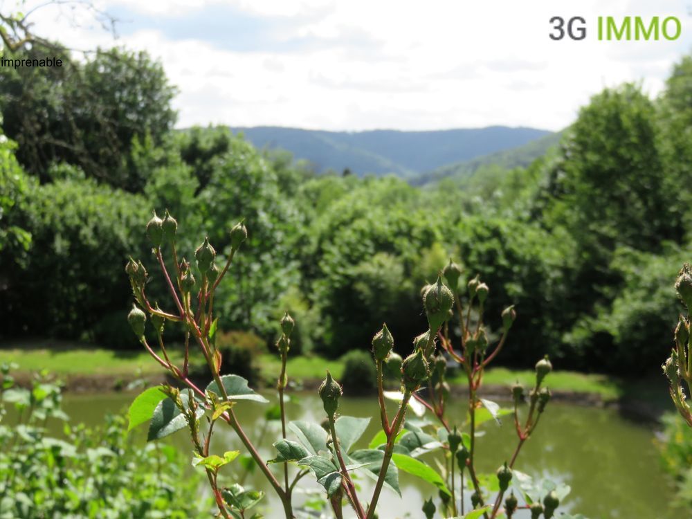 � vendre  Maison Fresse (70270)