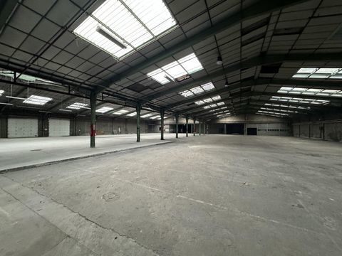 Local activit&eacute; 262500 76380 Canteleu