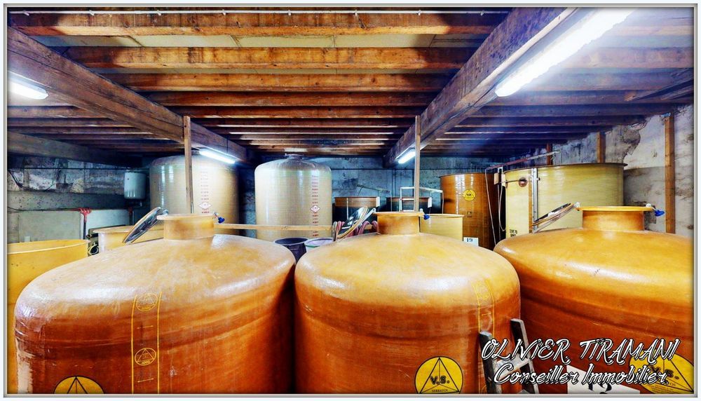 � vendre  Propri�t�/ch�teau Capendu (11700)