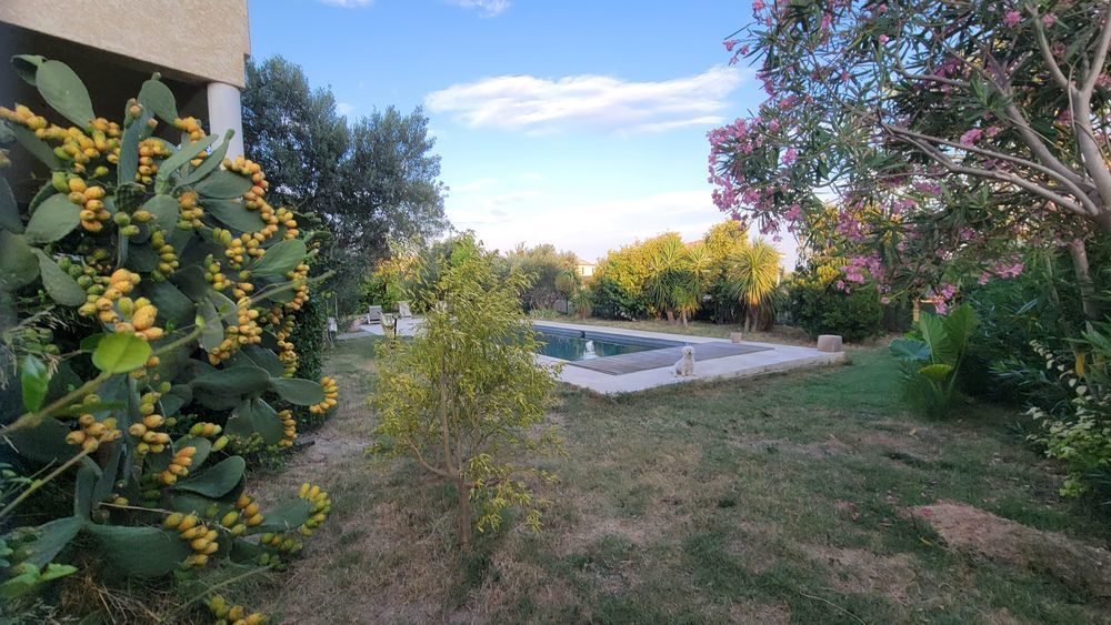 � vendre  Maison Tourbes (34120)