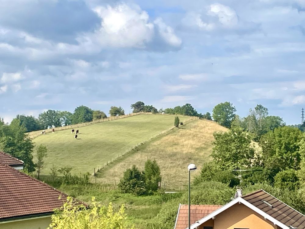 � vendre  Maison Seynod (74600)