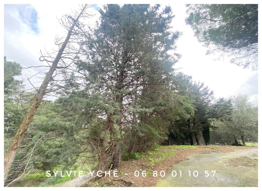 � vendre  Maison Narbonne (11100)