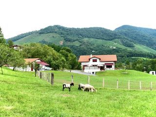  Maison � vendre 11 pi�ces 377 m�