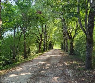  Propri�t�/ch�teau � vendre 9 pi�ces 