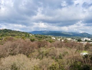  Appartement � vendre 4 pi�ces 100 m�