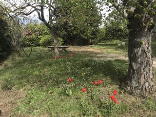  Maison � vendre 130 m�