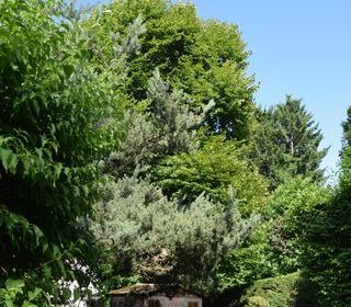  Maison � vendre 13 pi�ces 308 m�