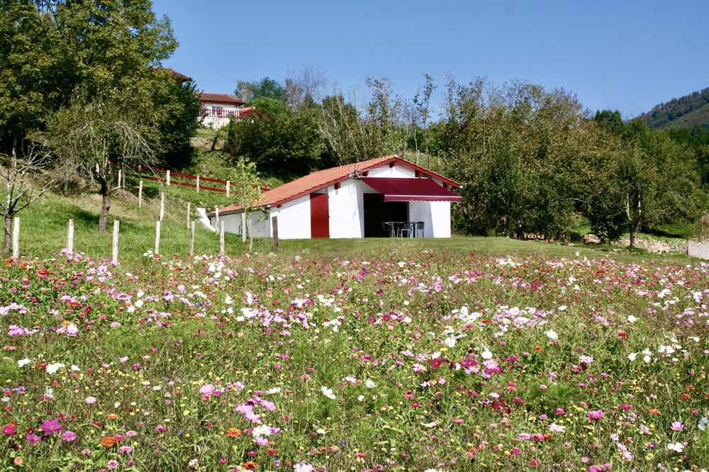 � vendre  Maison Saint-Jean-Pied-de-Port (64220)