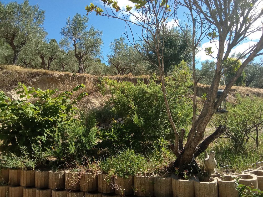 � vendre  Maison Manosque (04100)