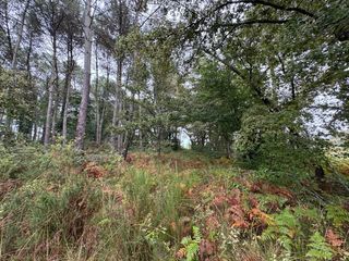  Terrain � vendre 51575 m�