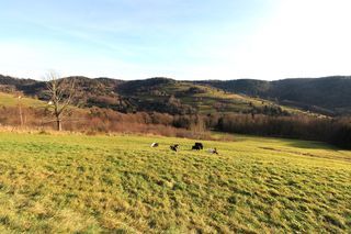  Maison � vendre 5 pi�ces 188 m�