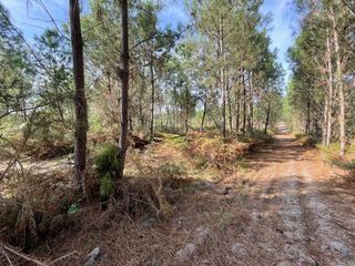  Terrain � vendre 34718 m�