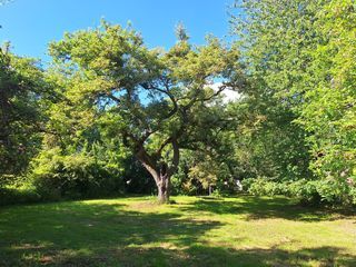  Maison � vendre 6 pi�ces 189 m�