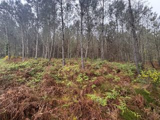  Terrain � vendre 48400 m�