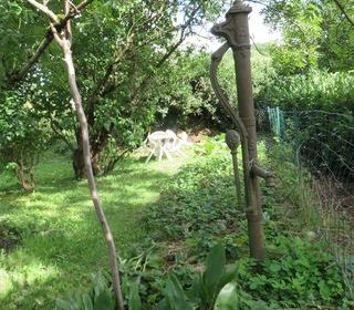  Maison � vendre 7 pi�ces 196 m�