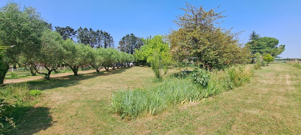 � vendre  Maison Arles (13200)