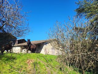  Maison � vendre 6 pi�ces 