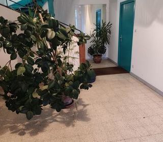  Immeuble � vendre 271 m�