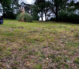  Terrain � vendre 1435 m�