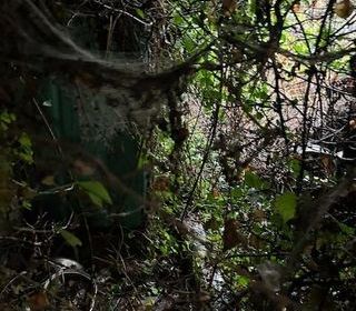  Maison � vendre 1 pi�ce 30 m�