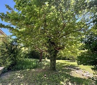  Maison � vendre 5 pi�ces 250 m�