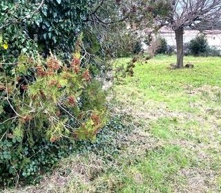  Terrain � vendre 700 m�